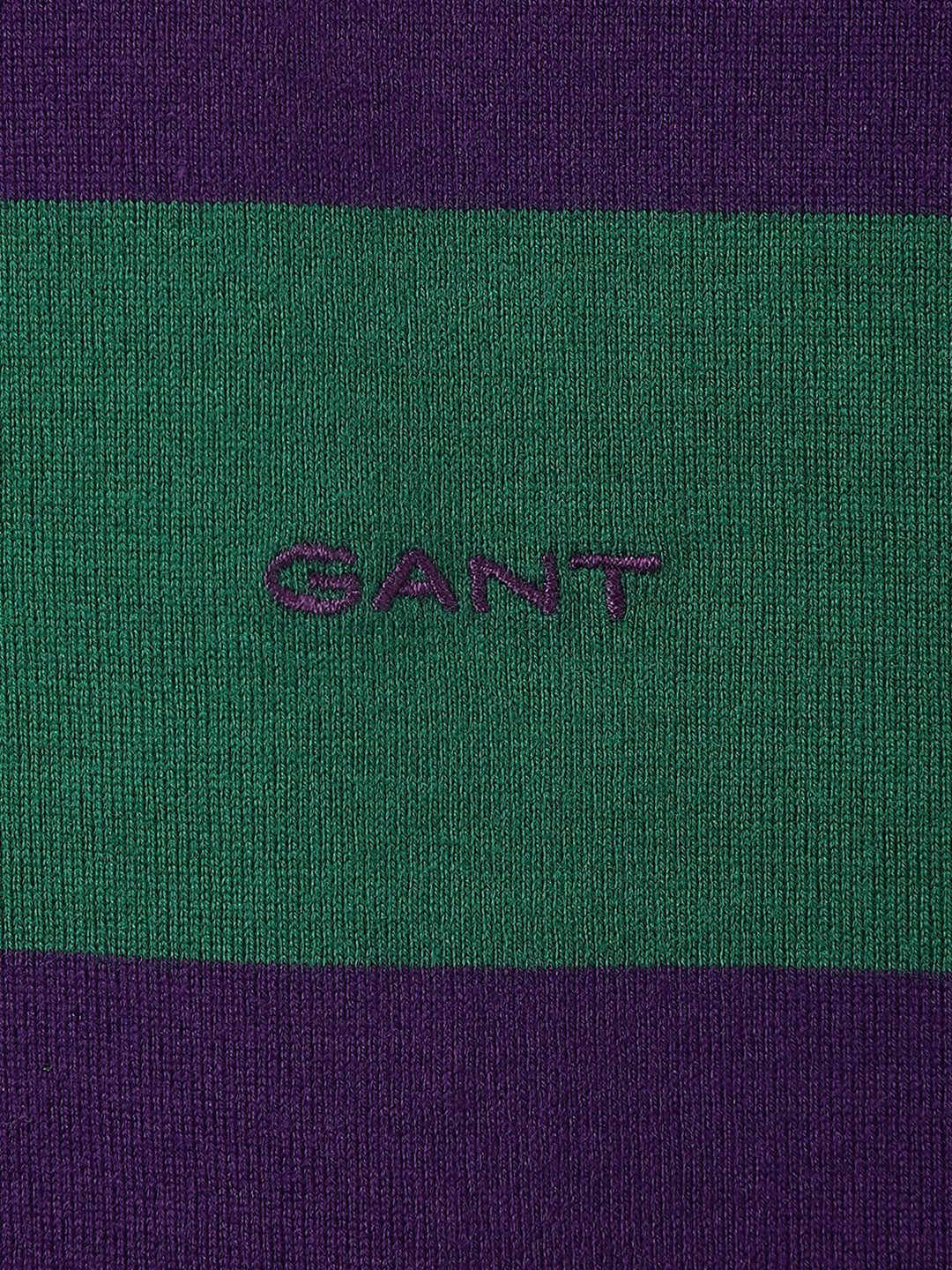 Gant Boys Purple Striped Polo Collar Full Sleeves T-Shirt