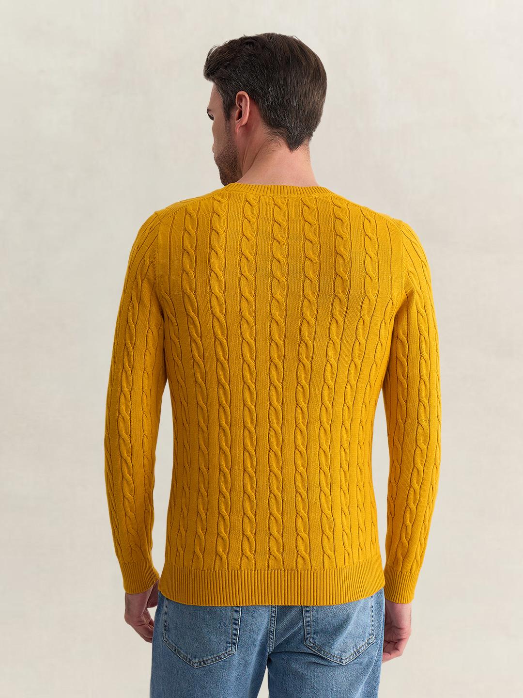 Gant Men Yellow Regular Fit Woven Design Organic Cotton Sweater