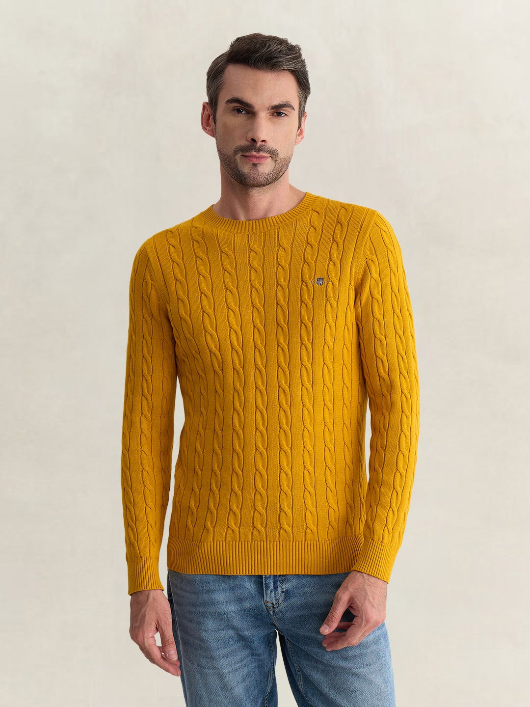 Gant Men Yellow Regular Fit Woven Design Organic Cotton Sweater