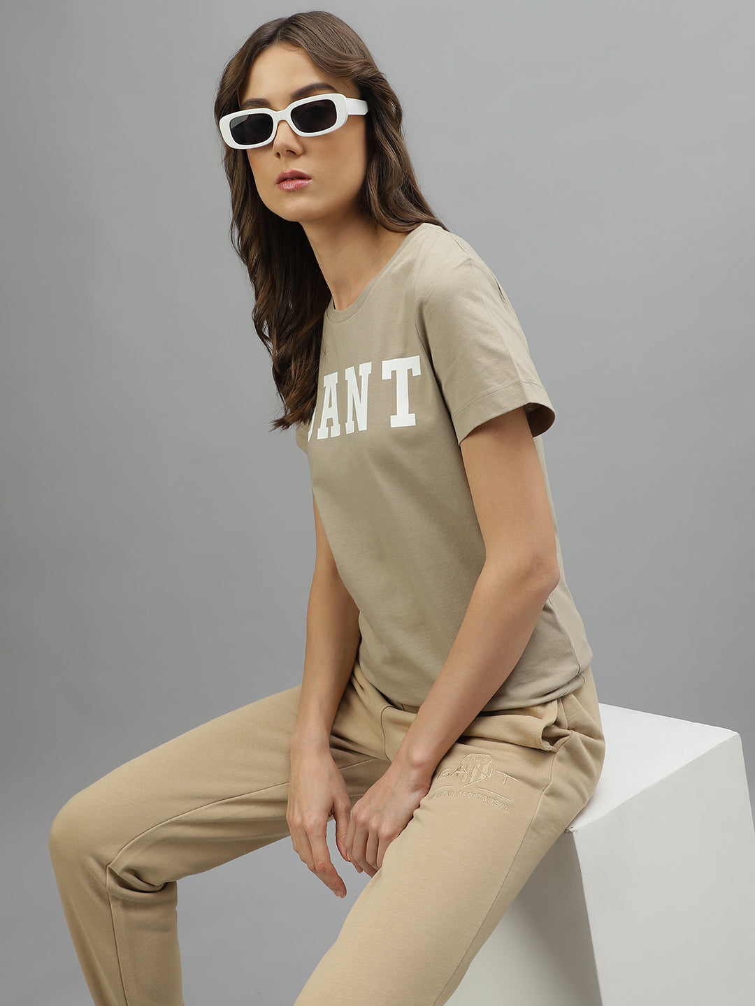 Gant Beige Fashion Logo Regular Fit T-Shirt