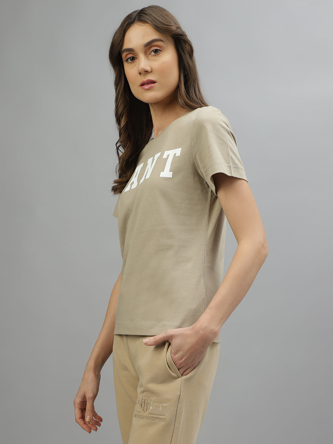 Gant Beige Fashion Logo Regular Fit T-Shirt