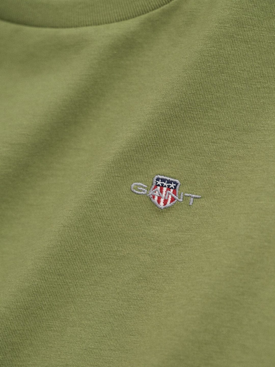 Gant Boys Green Solid Round Neck Tshirt