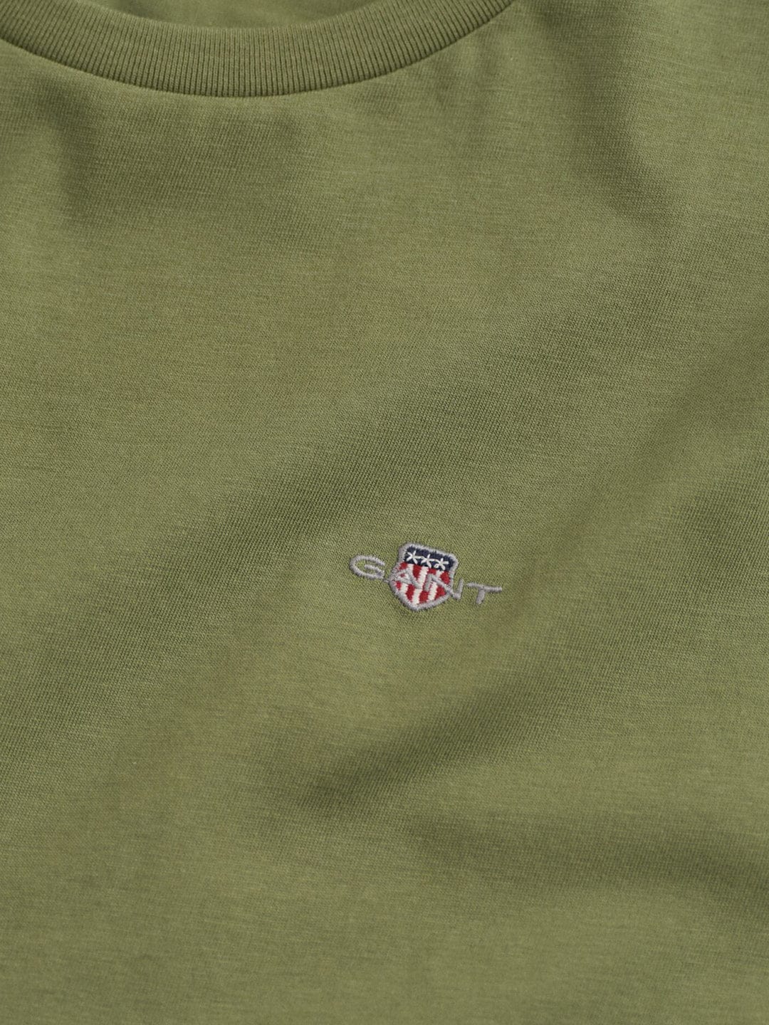 Gant Boys Green Solid Round Neck Tshirt