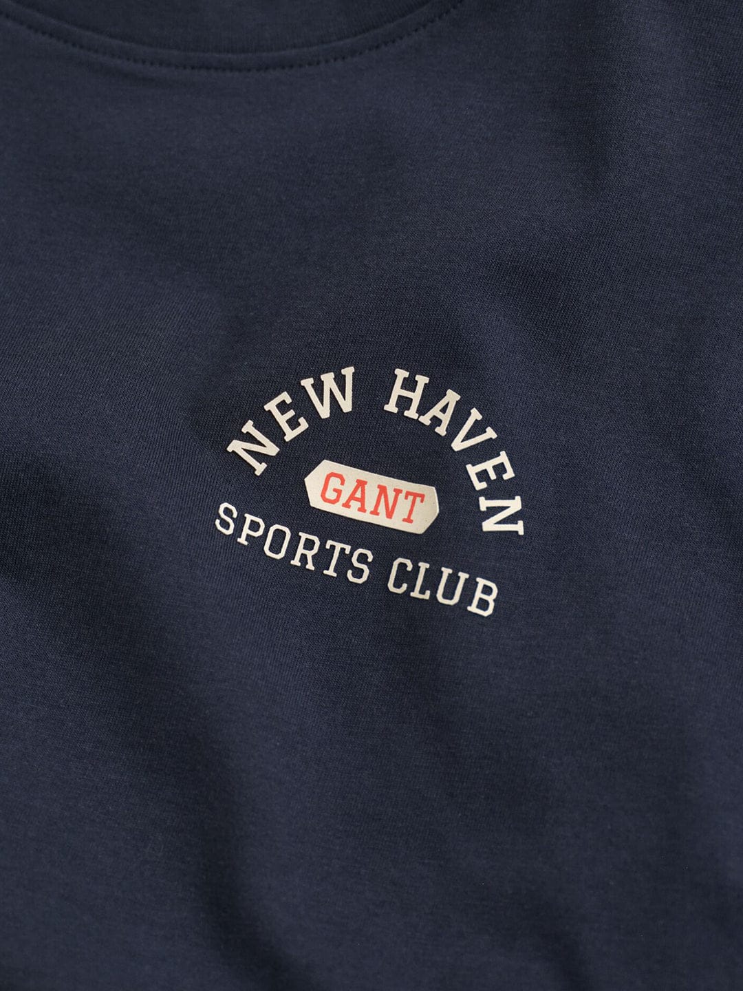 Gant Boys Blue Graphic Round Neck Tshirt