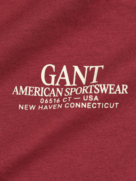 Gant Boys Red Graphic Round Neck Tshirt