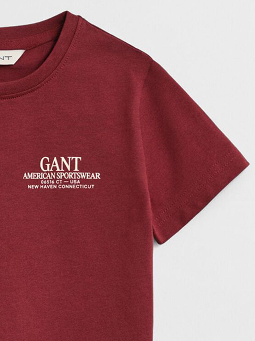 Gant Boys Red Graphic Round Neck Tshirt