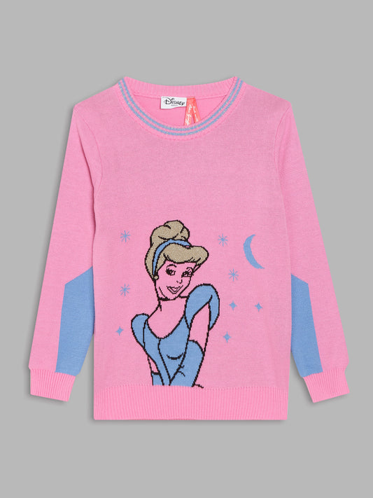 Blue Giraffe Girls Pink Solid Sweater