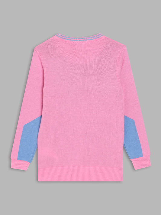 Blue Giraffe Girls Pink Solid Sweater