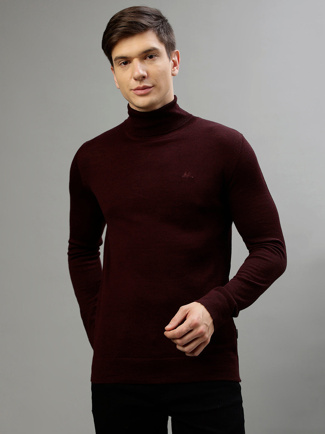 Shop Lindbergh Men Solid Turtle Neck Full Sleeves Sweater