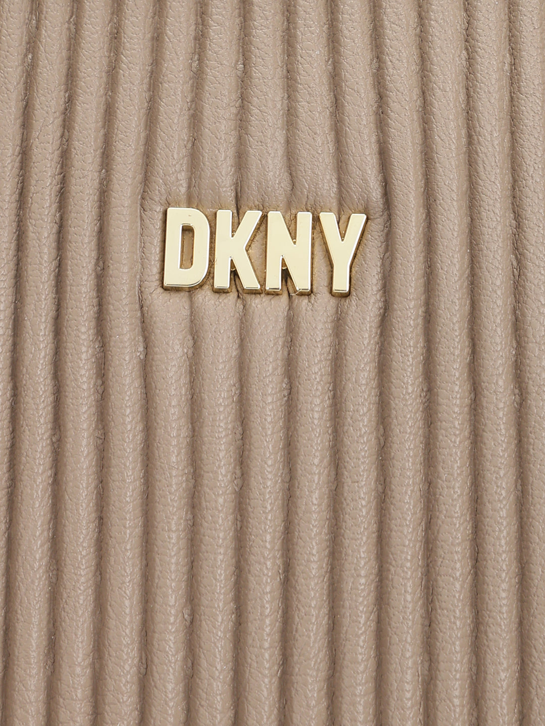 Dkny Women Beige Textured Handheld Bag