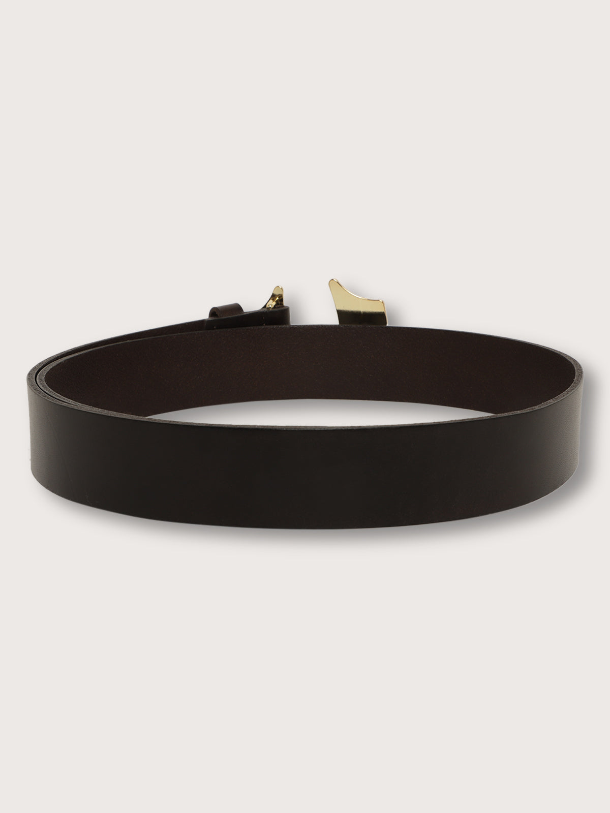 True Religion Men Brown Solid Belt